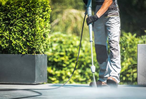 Best Animal Enclosure Cleaning  in Minonk, IL