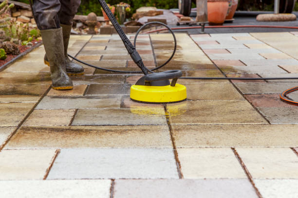 Best Dumpster Area Cleaning  in Minonk, IL