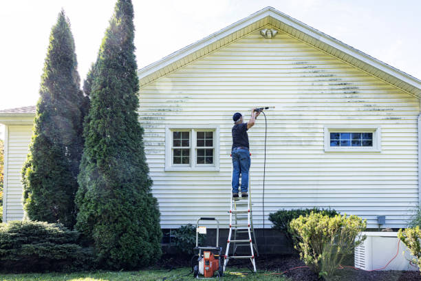 Best Fence Cleaning  in Minonk, IL